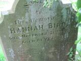 image of grave number 261841